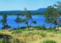 Zerenda